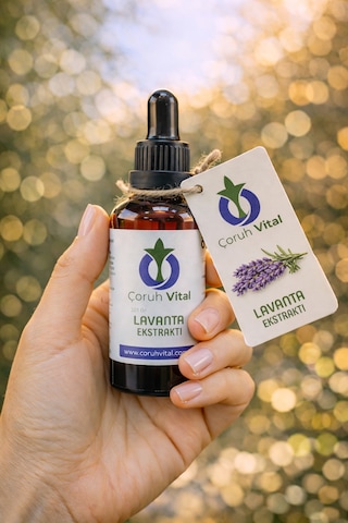 Lavanta Ekstraktı Lavanta Ekstraktı