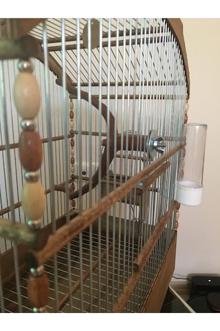 Naturbird Kavisli Çatı Ahşap Kuş Kafesi