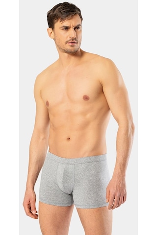 Cacharel Erkek Likralı Boxer 1335/Gri 001