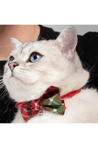 Patipatron Ayarlanabilir Yeni Yıl Papyonlu Kedi Tasması Çınçınlı