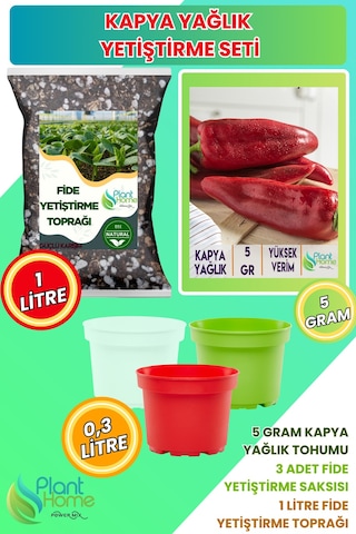 Kapya Biber Yetiştirme Seti Kapya Biber Tohumu + Karışımlı Fide Toprağı + 3 Lü Drenajlı Saksı