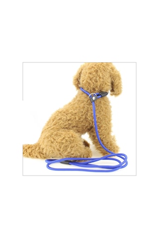 Köpek Boğma Eğitim Tasması Orta Irk 1 Cm - Mavi