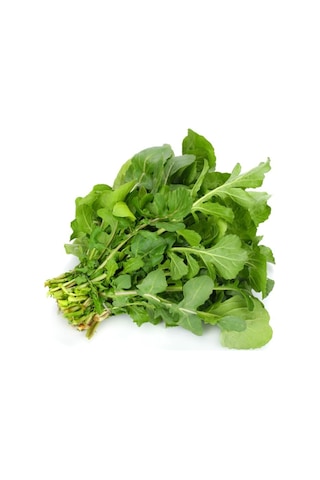 Roka Tohumu Yerli Roka Tohumu Yetiştirme Kiti