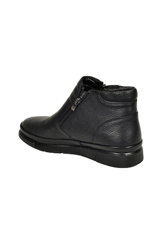 Dexter Dx416044-1 Renkli