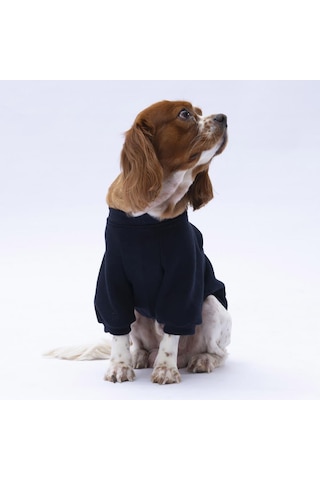 Siyah Chongqing Kedi Köpek Sweat- Kedi Köpek Kıyafeti