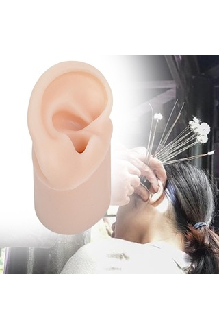 Suntek Yumuşak Silikon Kulak Modeli Sahte Kulak Öğrenme