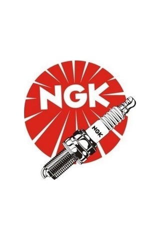 Buji Honda Cbf 150 Standart Ngk Orjinal