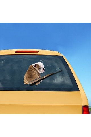 Jeemson Araba Arka Cam Köpek Sticker, Kabin Dekorasyon, Yağmur Sileci Sticker, Normal Yapıştırıcı Malzeme, 26x5cm Paket