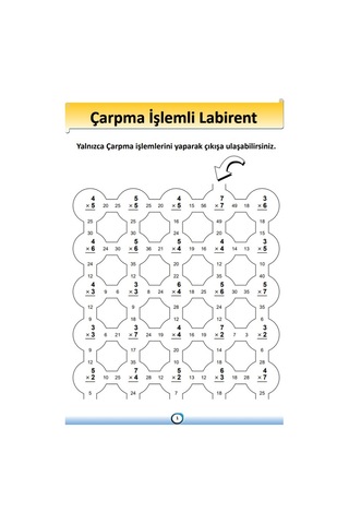 Matematik Öğreten Labirent Kitap Seti (5 Fasikül Kitap)