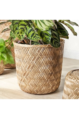 Bambu Saksı, Bambu, 24 Cm 3 Adet