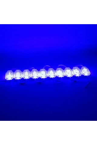 Powermaster 12 Volt 0.6 Watt Mavi 2835 65 X 25 Mm Ip65 120 Lümen 160 Derece Modül Led