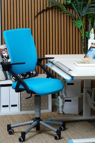 Creo Mobili Yükseklik Ayarlı Vega Plus Çalışma Sandalyesi, Ofis Ve Bilgisayar Koltuğu Mavi/mavi Gri