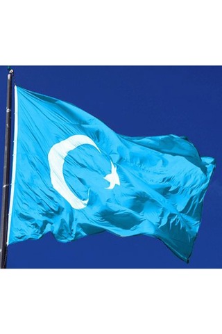 Zc Bayrak Doğu Türkistan Milli Gönder Bayrağı 70x105 Cm Raşel Dijital Baskı Diğer