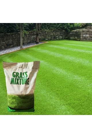 GRass Mixture 5 Karışım Gölge Alan Çim Tohumu 1 KG