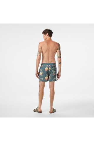 Billabong Vacay Lb Erkek Yeşil Deniz Şortu Ebyjv00144