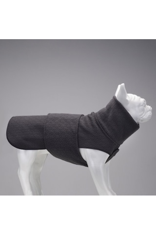 Ashen Grey Küçük, Orta Ve Büyük Irk Köpek Poları