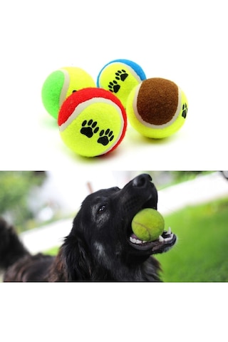 Pati Desenli 4'lü Tenis Topu Köpek Oyuncağı