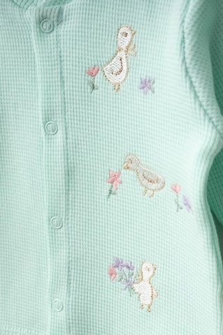 Bebitof %100 Pamuk Sevimli Hayvanlar Desenli 5 Parça Hastane Çıkışı Yenidoğan Zıbın Seti Bbtf.sysl.20120 Su Yeşili