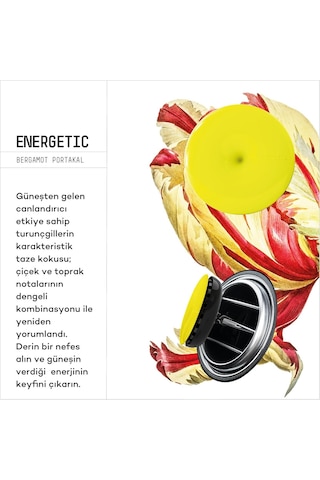 Vavana Spin Araba Klima Kokusu - Profesyonel Otomobil Kokusu / Bpa & Sıvı İçermez / 90 Gün Etkili / 2'li Set Energ Genel