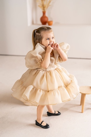 Linola Baby Kids Puffy Şifon Kız Çocuk Parti Elbisesi Bej