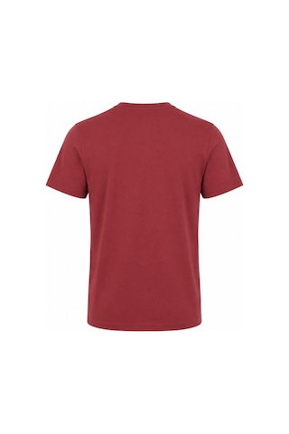 Galatasaray Lisanslı Yazılı 5 Yıldız Bordo T-shirt Aslan Ahşap Kutulu E251501 Kırmızı Galatasaray Lisanslı Yazılı 5 Yıldız Bordo T-shirt Aslan Ahşap Kutulu E251501 Kırmızı