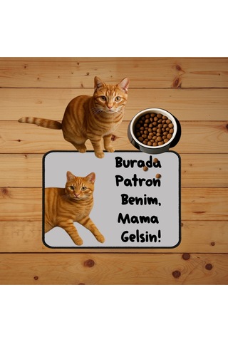 Fotoğraf Baskılı Kedi Köpek Mama Paspası Ve Beslenme Altlığı Mama Önü Tuvalet Önü Paspas 40x60cm Çok Renkli