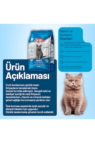 Somonlu Yetişkin Kedi Maması - 16 Adet