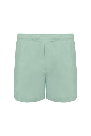 Maraton Regular Erkek Şort Mint- Şort Mint-