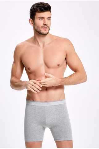İlke Ilke 005 Erkek Elasten Uzun Boxer 001