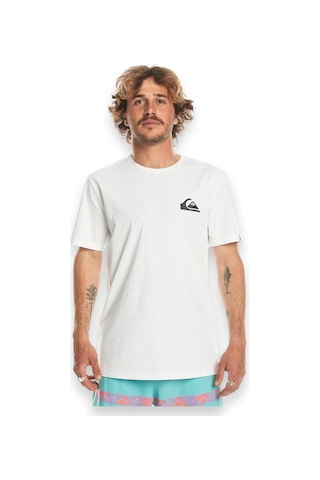Quiksilver Eqyzt07657 Mw Mini Logo Ss Beyaz Erkek T-shirt Beyaz