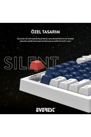 Everest KB-98 Silent Sessiz Rainbow Q Membrane Klavye