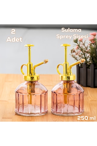 Perotti 15733 2li Mor Vintage Cam Bitki Sulama Şişesi Sulama Kabı