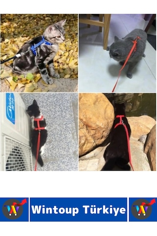 Evcil Hayvan Pet Rahatsız Etmez Ayarlanabilir Tasarım Kaçış Önleme Çok Şık Kedi Boyun Göğüs Tasması