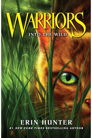 Into The Wild: Book 1