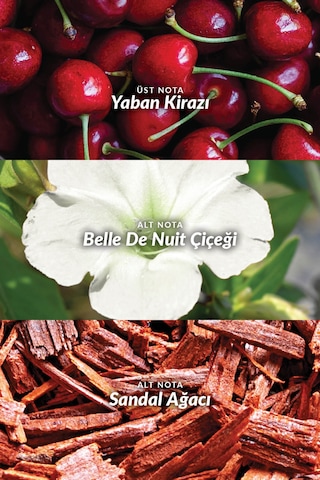 Avon Far Away Beyond The Moon Kadın Parfüm Çanta Boyu EDP 2 x 10 ML