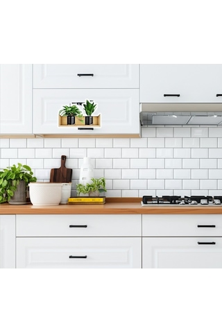 Raflı Bitki Tasarımlı Yapışkanlı Sticker Seti Modern Duvar Dekoru