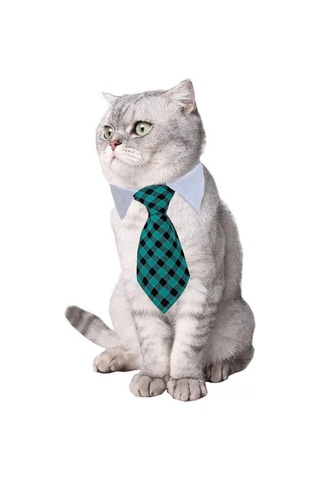 Ruicoo Köpek Kedi Yeşil Paspas Bantlı Bağcıklı Ayarlanabilir Tabanlı Grooming Aksesuarı S 24-30cm Boyun Çevresi - Cw17