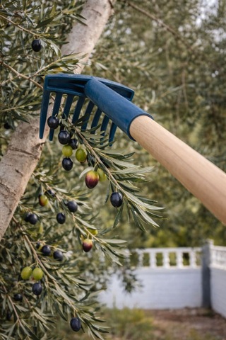 Hbcv00000y3ı6o Esnek Kırılmaz Zeytin Toplama Tırmığı 3 Lü Paket Sap Hariç