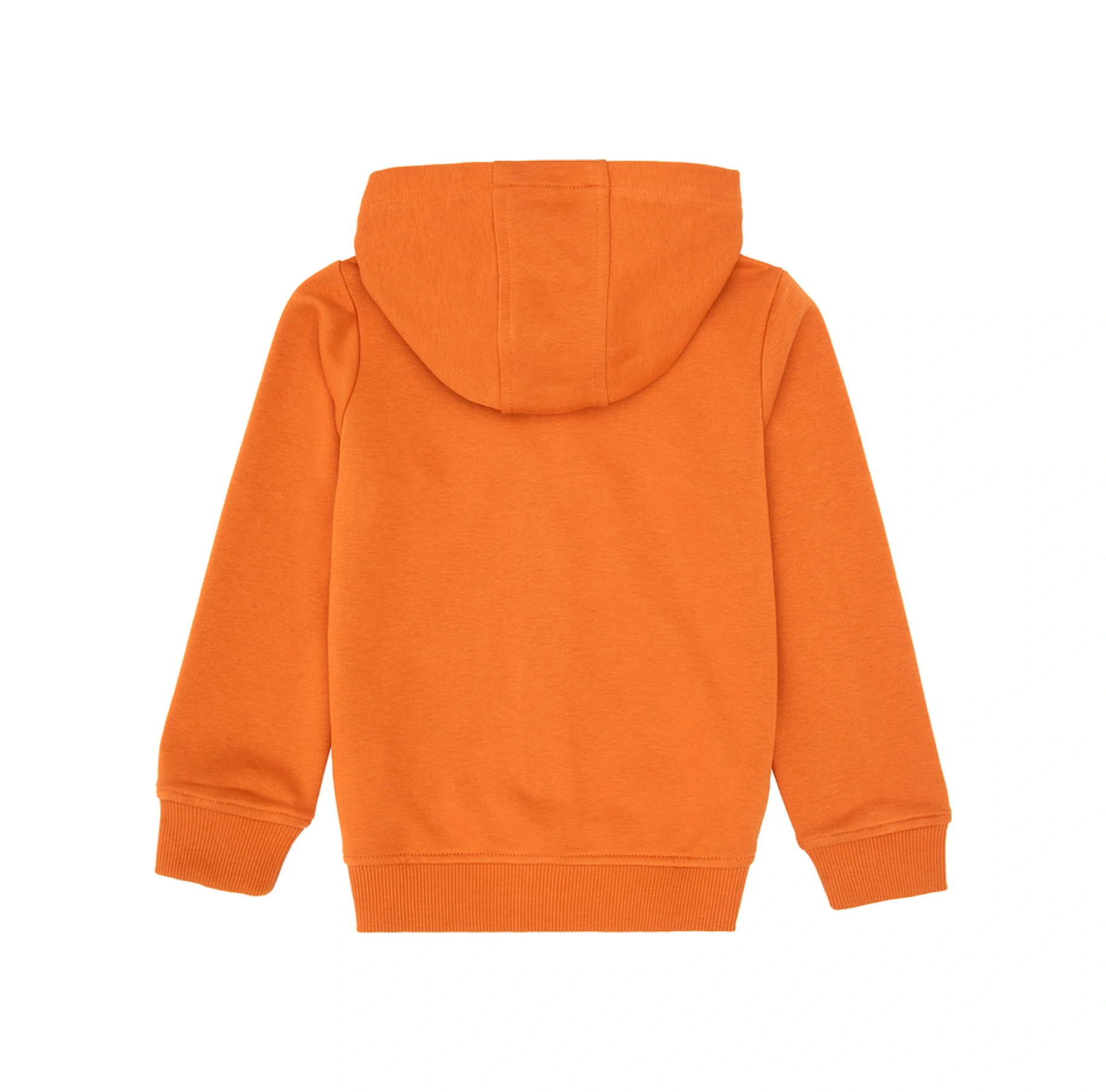 U.S. Polo Assn. Erkek Çocuk Bakır Fermuarlı Kapüşonlu Sweatshirt 50316706-VR182