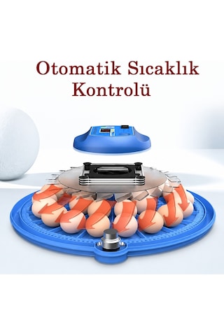 26'li Tam Otomatik Kuluçka Makinesi Dijital Isı Kontrol Nemlendiricili