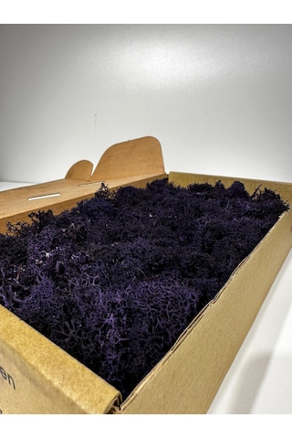 Reindermoss Şoklanmış Norveç Yosunu Terarium Yosunu Mor 5 Kg.