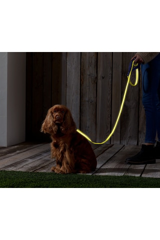 Köpek Tasması, Reflektörlü Lacivert