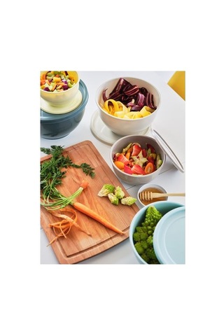 Ikea Garnıtyren Plastik Saklama Kabı Seti, Çok Renkli, 5 Parça