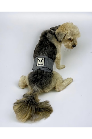 Kemique Köpek Çiş Bel Bandı Yıkanabilir Sızdırmaz Köpek Kıyafeti