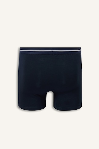 Defacto Regular Fit Çizgili Beli Lastikli 3lü Boxer Paketi I1735ax26aupr102 Mor-pr102