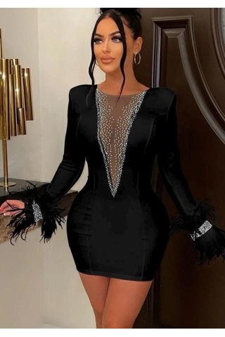 Nnstartshopping Kadın Dalgıç Kumaş Tül Ve Taş Aksesuarlı Kolları Tüylü Mini Boy Elbise Siyah