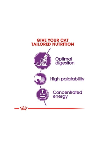 Royal Canin Sensible 33 Hassas Sindirim Sistemi İçin Yetişkin Kedi Sı 10 Kilogram