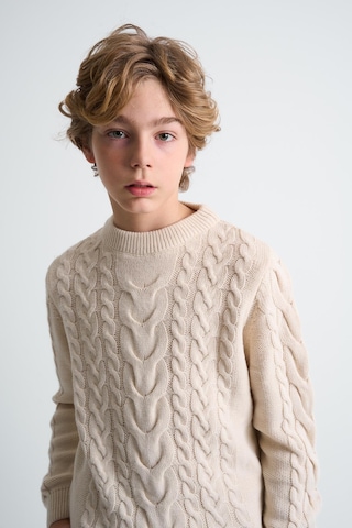 Alexandergardı Örgü Desenli Çocuk Kazak Bej