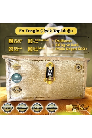 Tanbal Yayla Çiçek Balı 2800 G