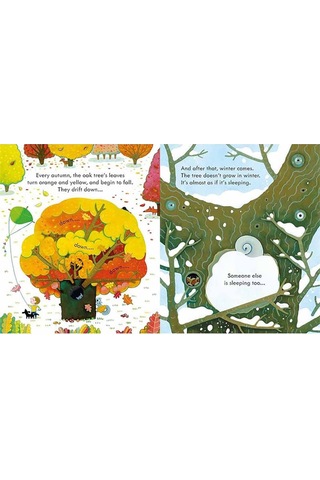 Peep Inside a Tree - Anna Milbourne - Usborne